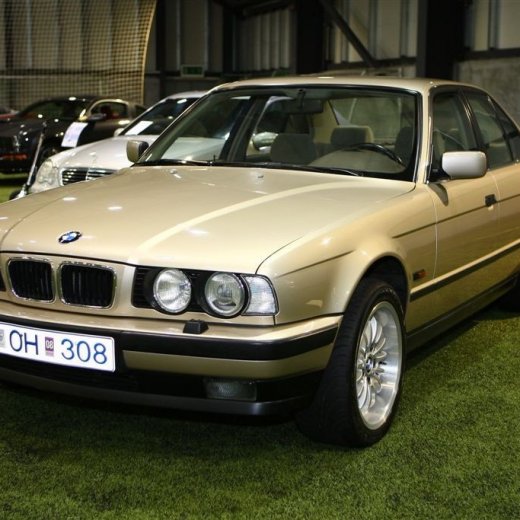 crop-bilasyning2008_041