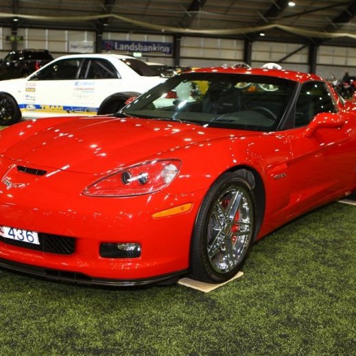 crop-bilasyning2008_093