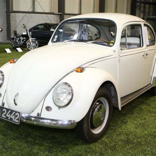 crop-bilasyning2008_133