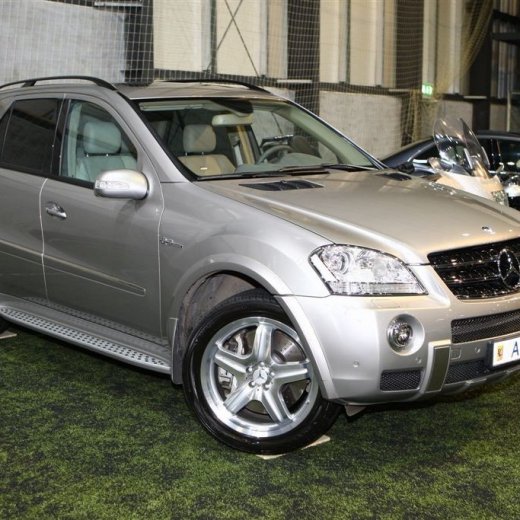 crop-bilasyning2008_135