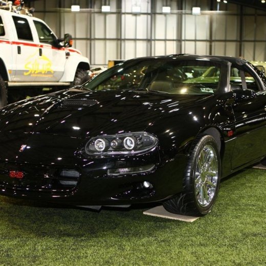 crop-bilasyning2008_140