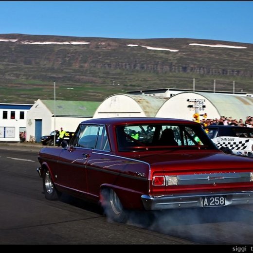 crop-11_g__tum__la_2008__1062.jpgvv__1_