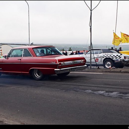 crop-11_g__tum__la_2008__1062.jpgvv__7_