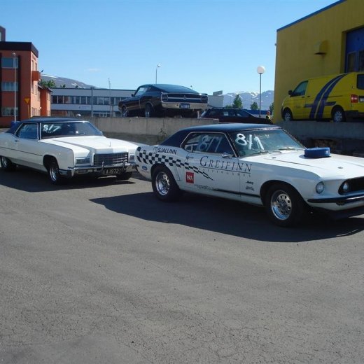 crop-14.06.2008_020__large_