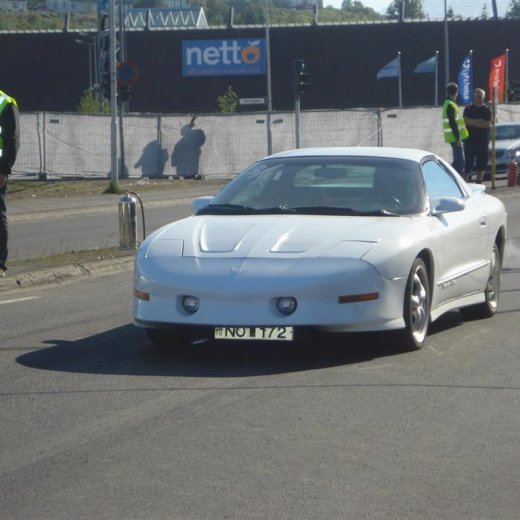 crop-14.06.2008_026__large_