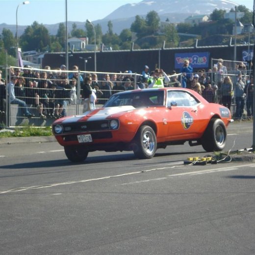 crop-14.06.2008_031__large_