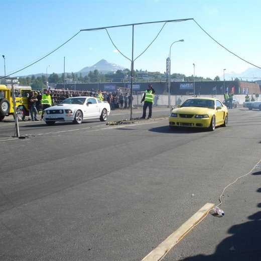 crop-14.06.2008_034__large_