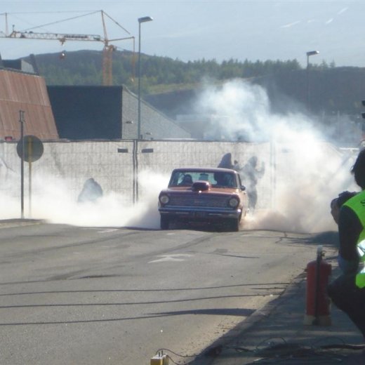 crop-14.06.2008_039__large_