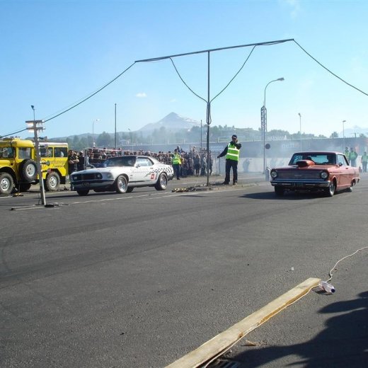 crop-14.06.2008_041__large_