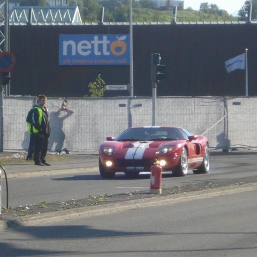 crop-14.06.2008_048__large_