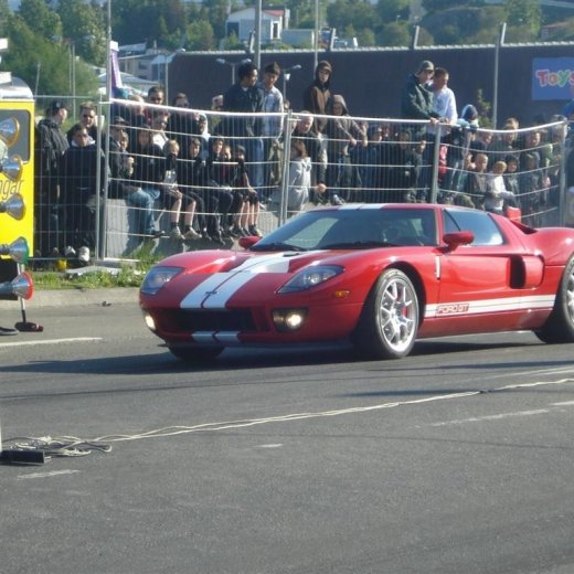 crop-14.06.2008_049__large_