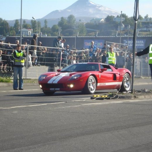 crop-14.06.2008_052__large_