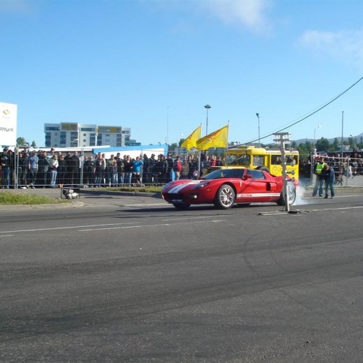 crop-14.06.2008_053__large_