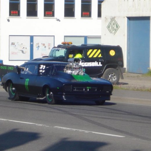 crop-14.06.2008_054__large_