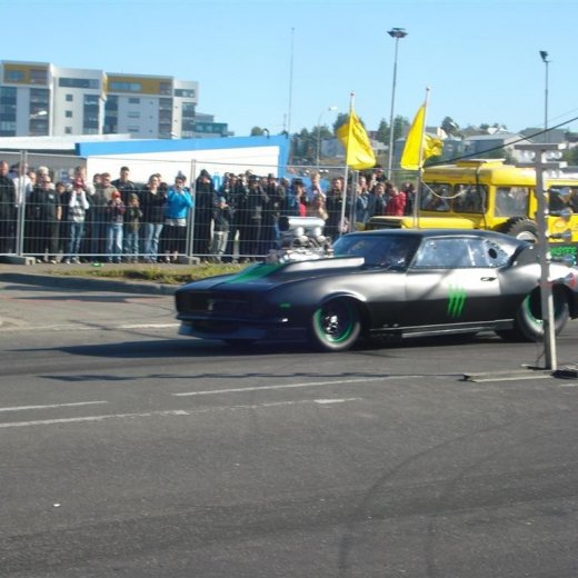 crop-14.06.2008_057__large_