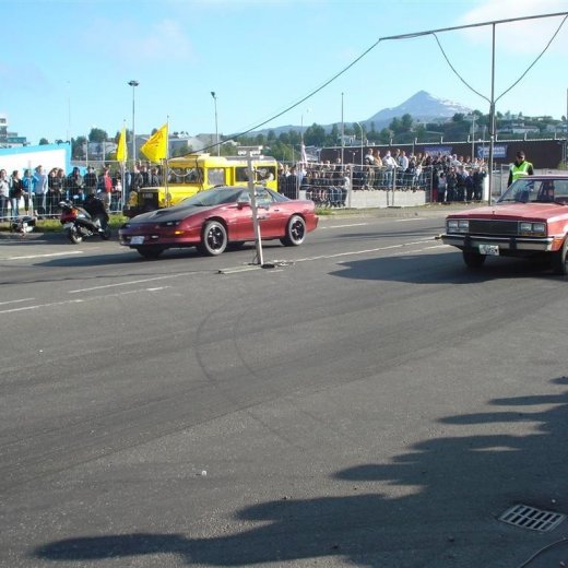 crop-14.06.2008_063__large_