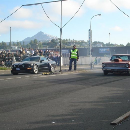 crop-14.06.2008_069__large_