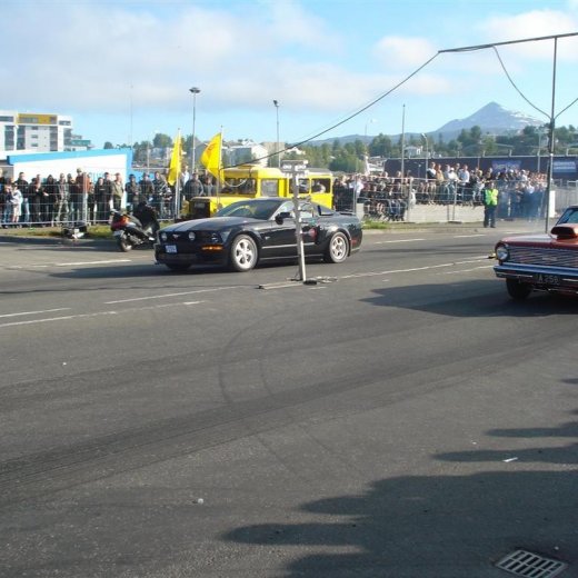 crop-14.06.2008_070__large_