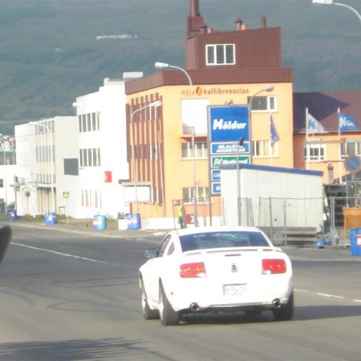 crop-14.06.2008_075__large_