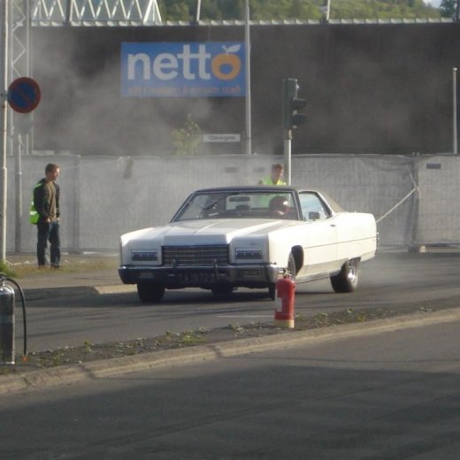 crop-14.06.2008_076__large_