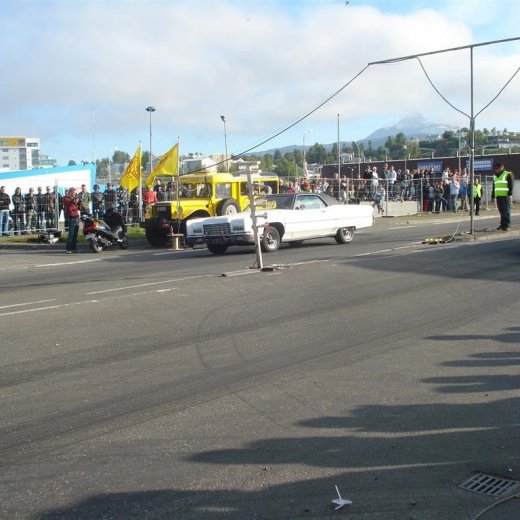 crop-14.06.2008_077__large_