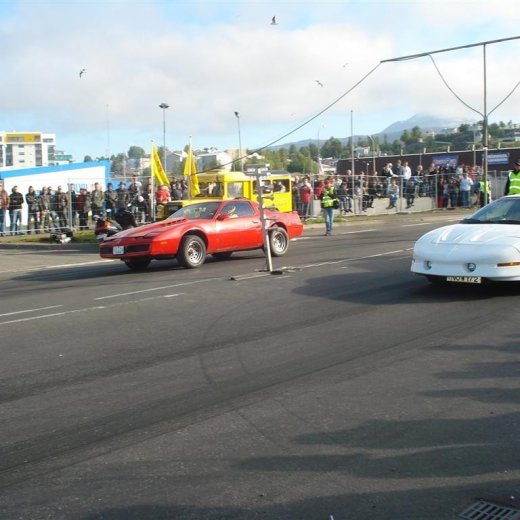 crop-14.06.2008_082__large_