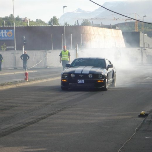 crop-14.06.2008_085__large_