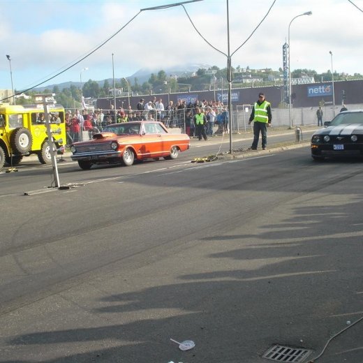 crop-14.06.2008_086__large_