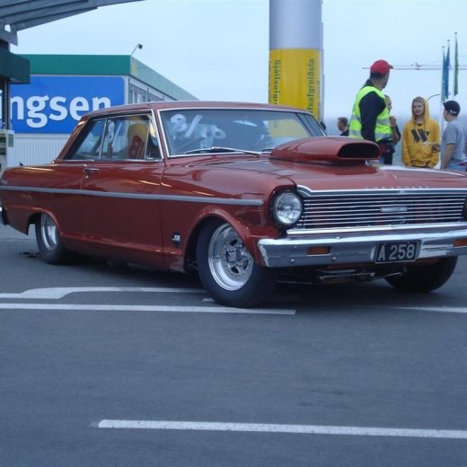 crop-14.06.2008_094__large_