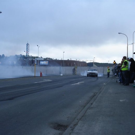 crop-14.06.2008_096__large_