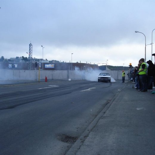 crop-14.06.2008_097__large_