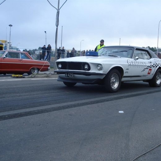 crop-14.06.2008_099__large_