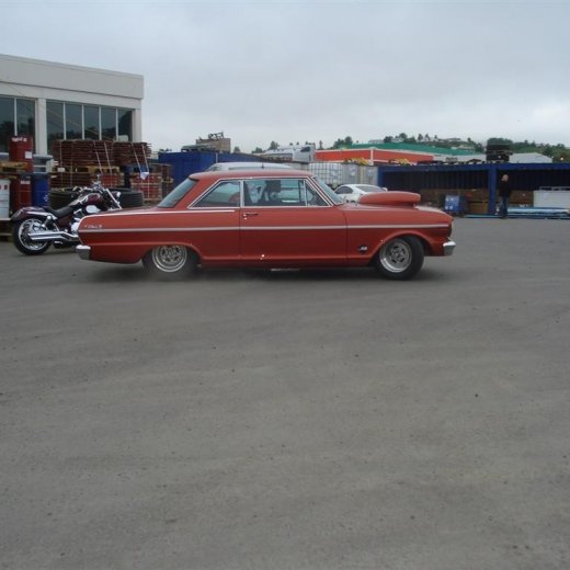 crop-14.06.2008_104__large_