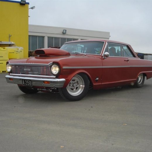 crop-14.06.2008_105__large_