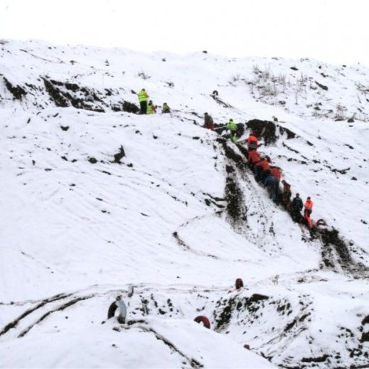 crop-greifatorfaera_10.05.08_022__large_