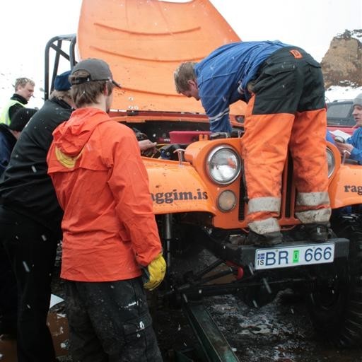 crop-greifatorfaera_10.05.08_029__large_