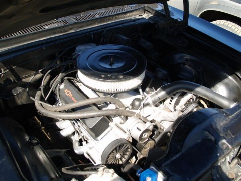 19.07.08sandure_034__large_