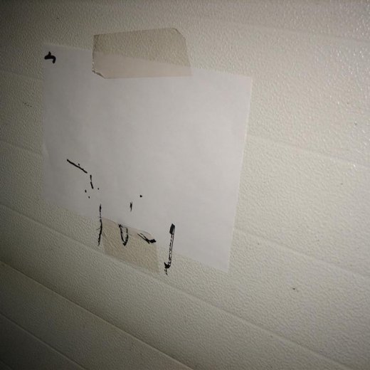 crop-14.03.2009_045__large_