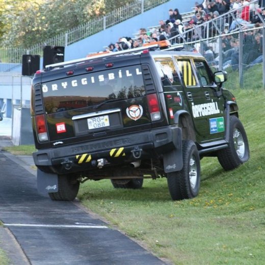 crop-19.06.2009_003__large_