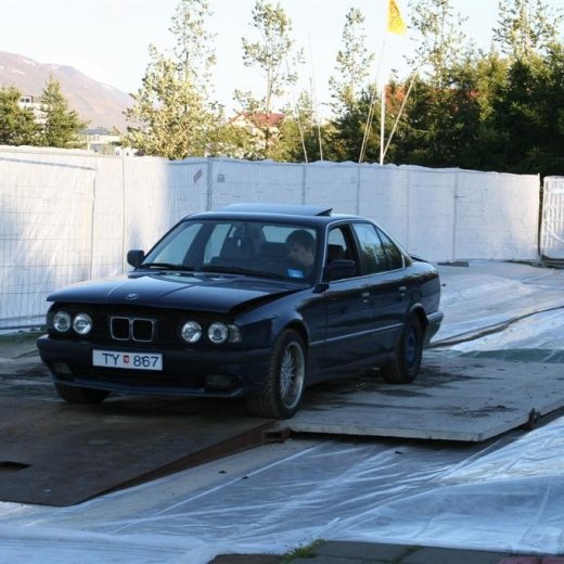 crop-19.06.2009_005__large_