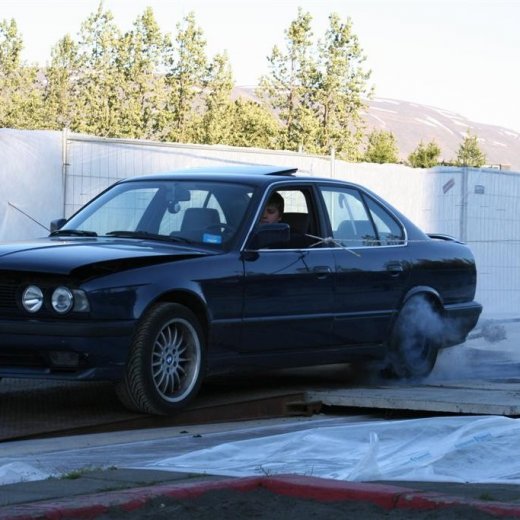 crop-19.06.2009_007__large_