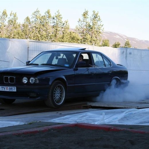 crop-19.06.2009_008__large_