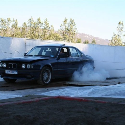 crop-19.06.2009_009__large_