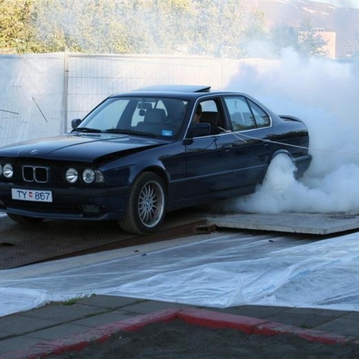 crop-19.06.2009_011__large_