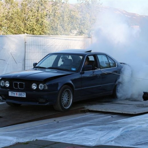 crop-19.06.2009_012__large_