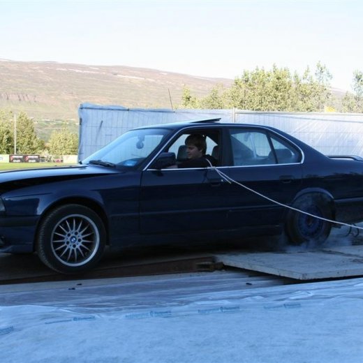 crop-19.06.2009_014__large_