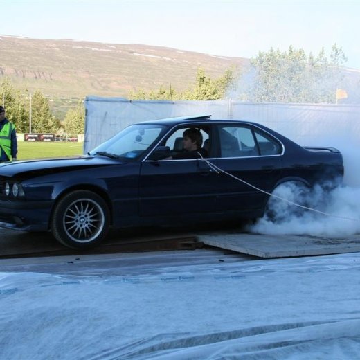 crop-19.06.2009_016__large_