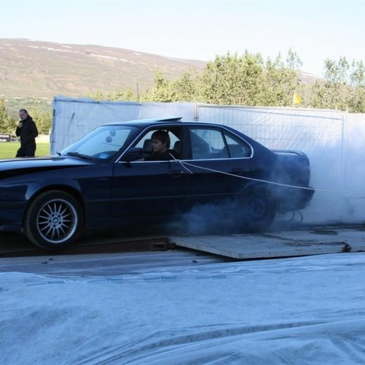 crop-19.06.2009_018__large_