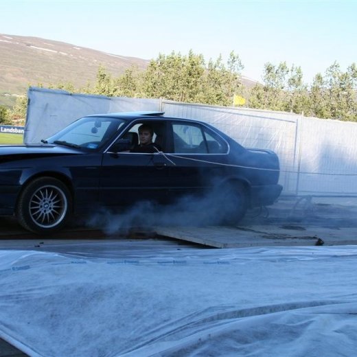 crop-19.06.2009_019__large_