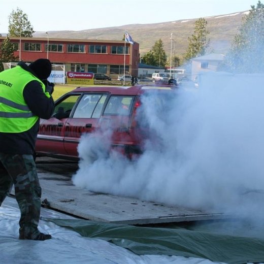 crop-19.06.2009_033__large_